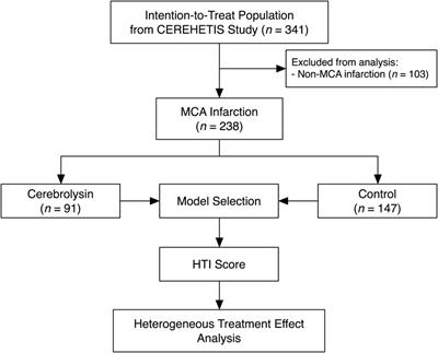 Heterogeneous treatment effects of Cerebrolysin as an early add-on to reperfusion therapy: post hoc analysis of the CEREHETIS trial